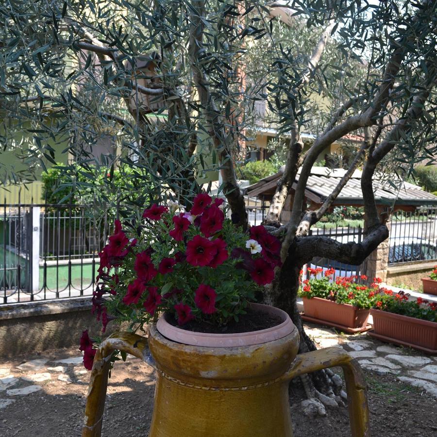 Riflessi D'Arte Bed & Breakfast Provaglio d'Iseo Eksteriør bilde