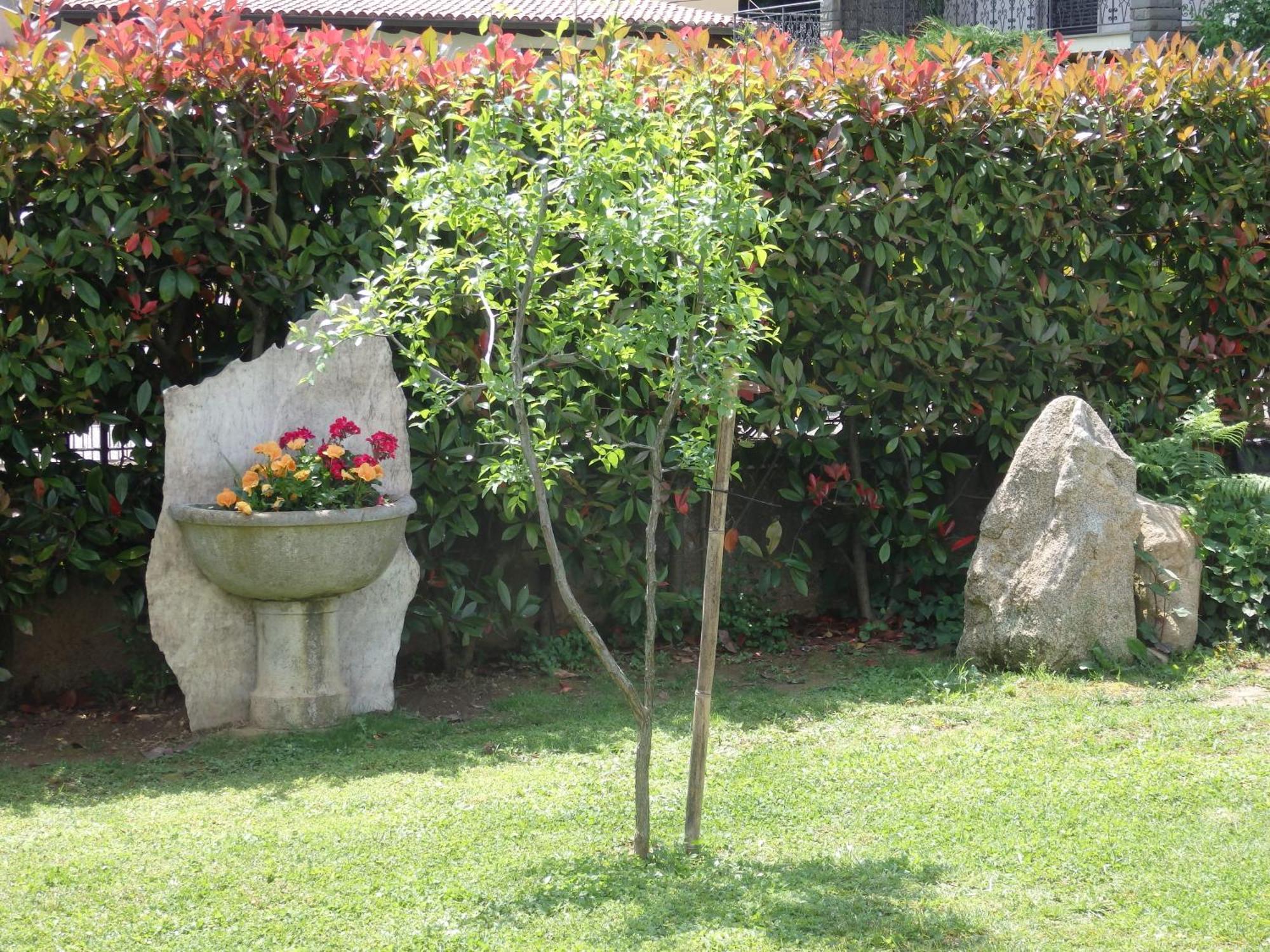 Riflessi D'Arte Bed & Breakfast Provaglio d'Iseo Eksteriør bilde